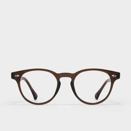 Round Glasses for Women Men Vintage Circle Thick Frame Eyeglasses Non Prescription Glasses Clear lens Eyewear